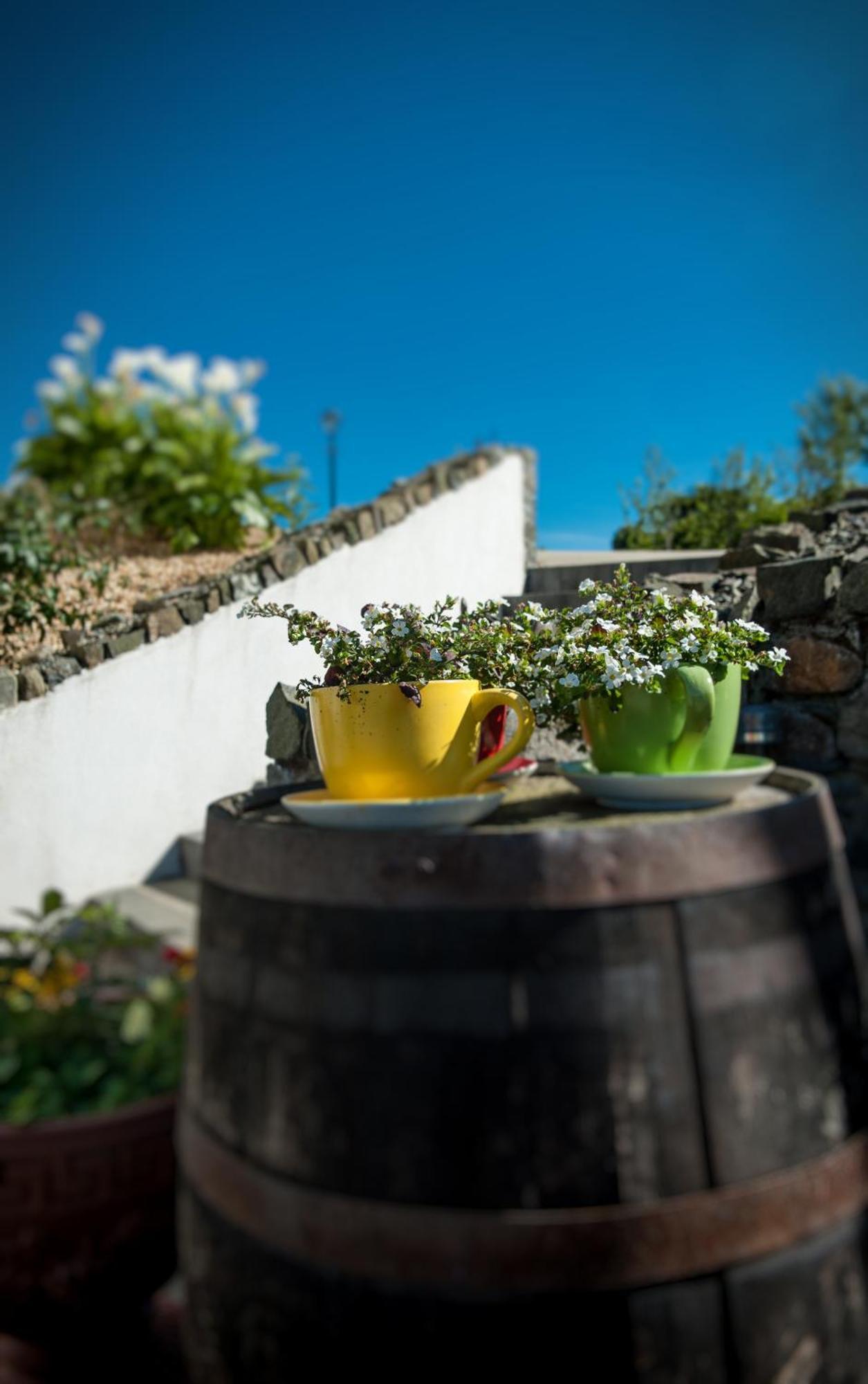 Grove House Bed & Breakfast Carlingford Exteriér fotografie