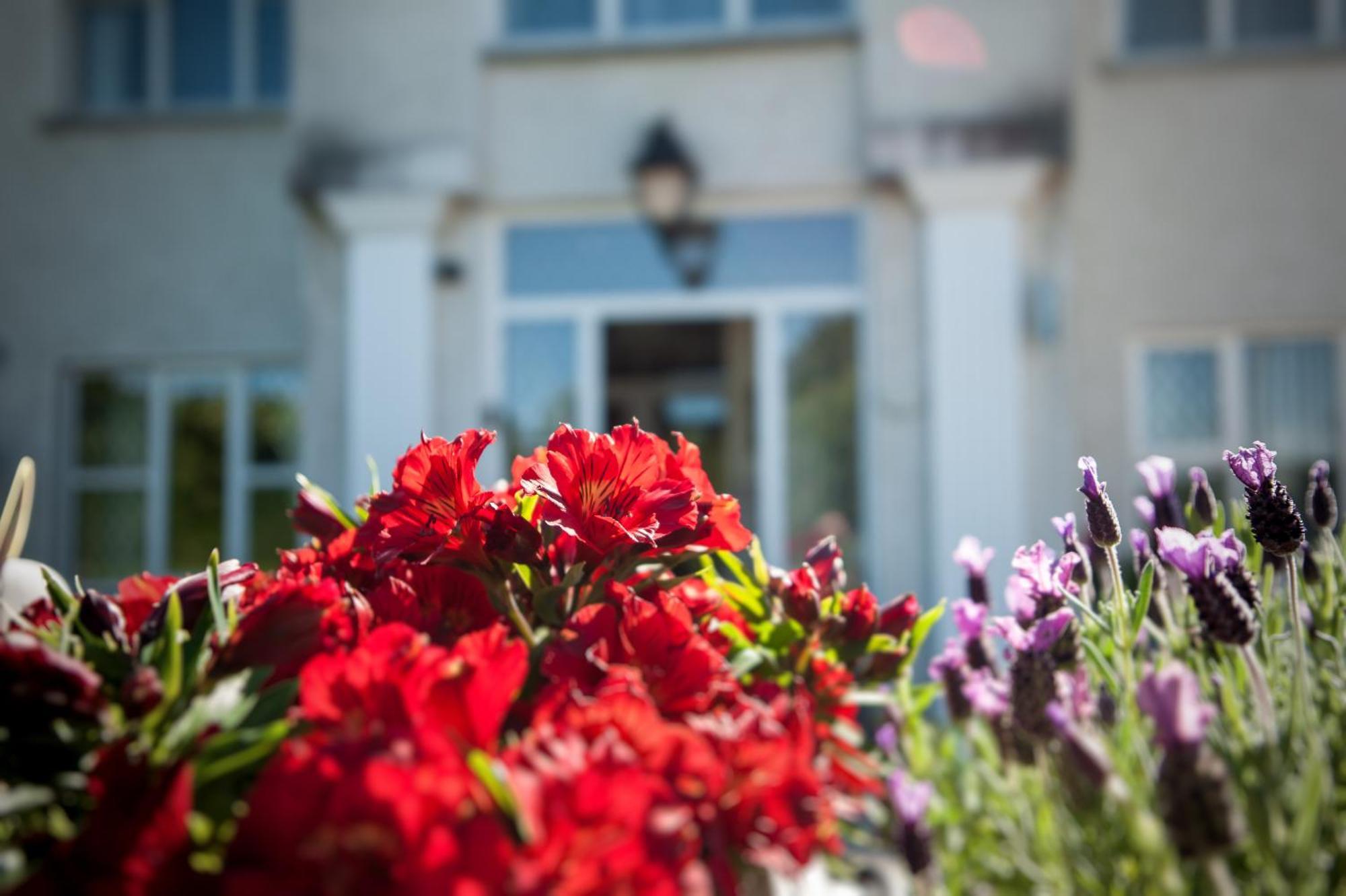 Grove House Bed & Breakfast Carlingford Exteriér fotografie