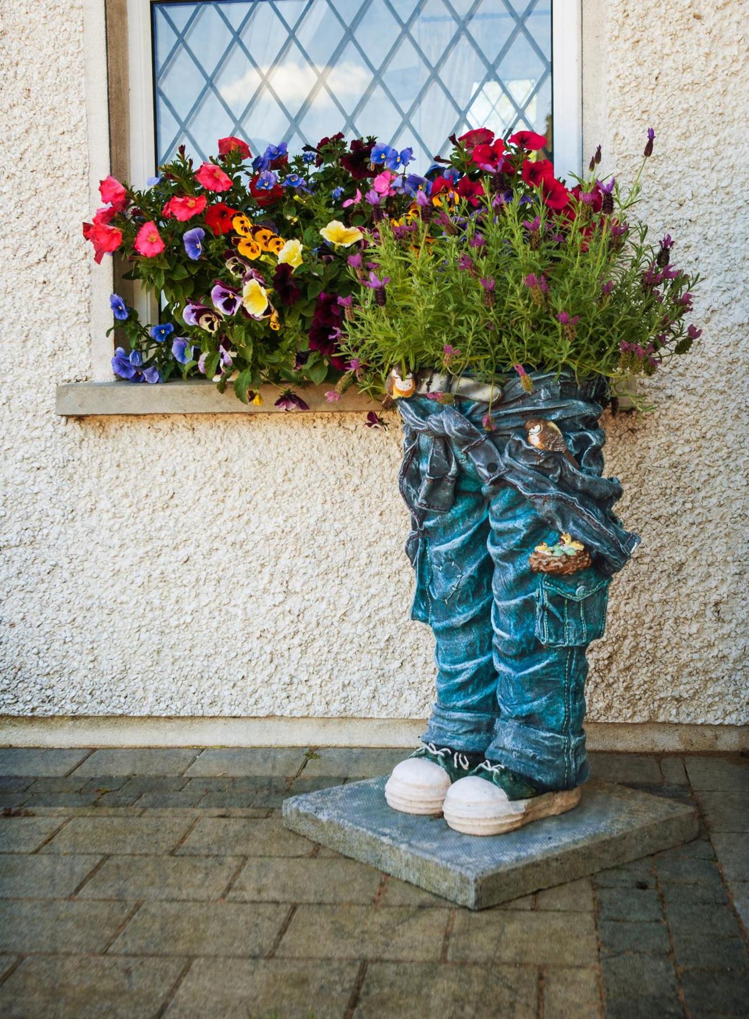 Grove House Bed & Breakfast Carlingford Exteriér fotografie