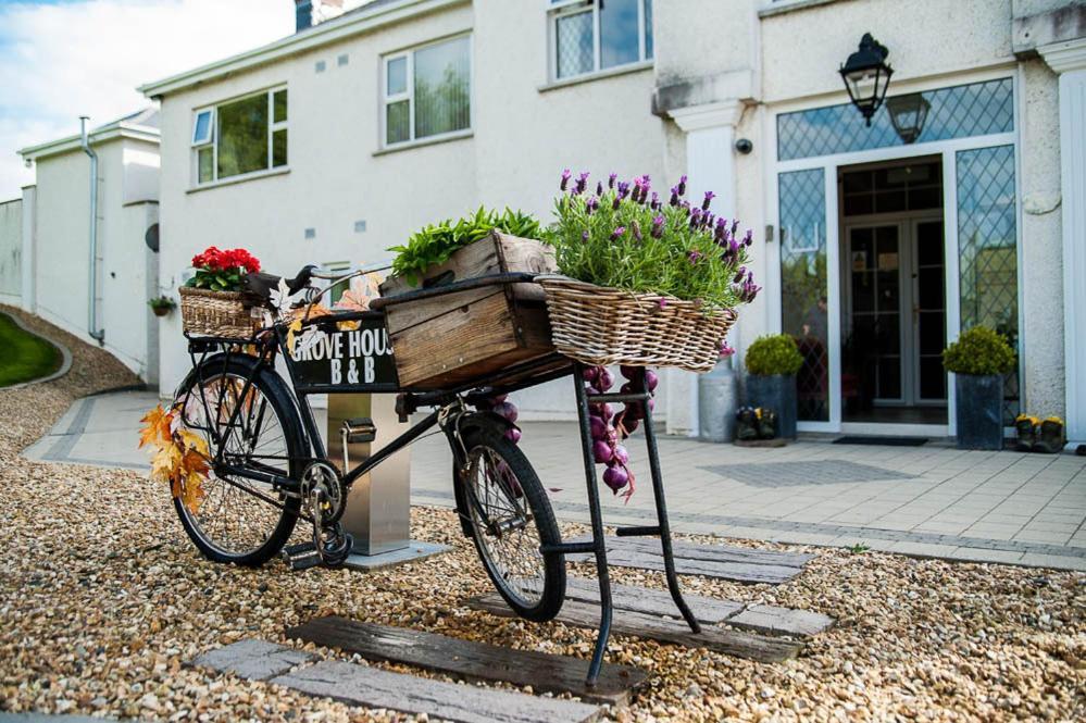 Grove House Bed & Breakfast Carlingford Exteriér fotografie